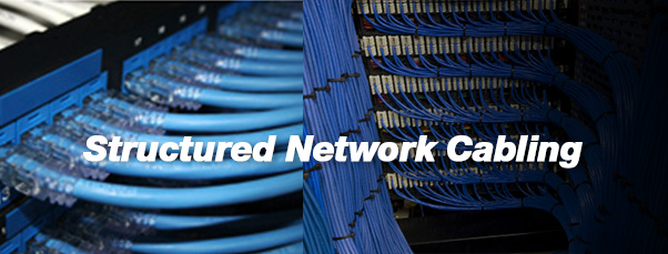 Nettek structured network cabling